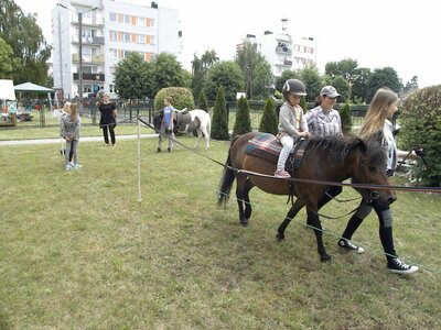 Żłobek Samorządowy: Udany festyn  